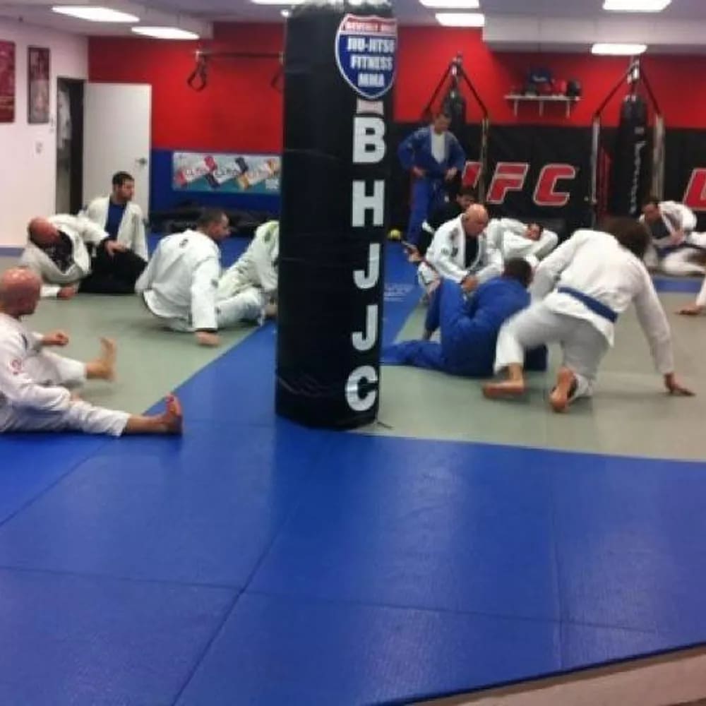 Beverly Hills Jiu Jitsu Club Programs image