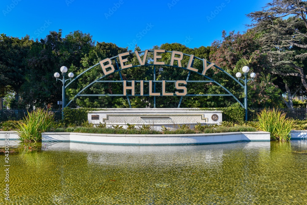 Beverly Hills Jiu Jitsu Club 
